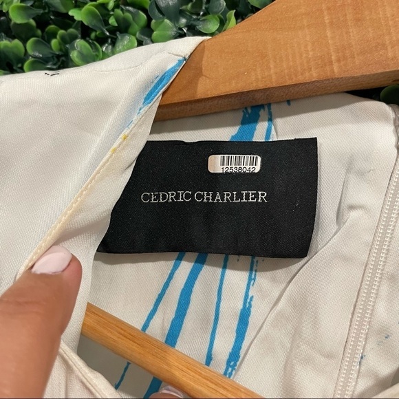 Cedric Charlier Fantasy Print Dress - Picture 2 of 10